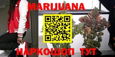 МДПВ Новокубанск