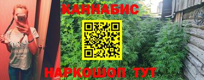 ГАЛЛЮЦИНОГЕННЫЕ ГРИБЫ Новодвинск