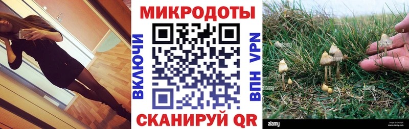 блэк спрут Шали Галлюциногенные грибы GOLDEN TEACHER