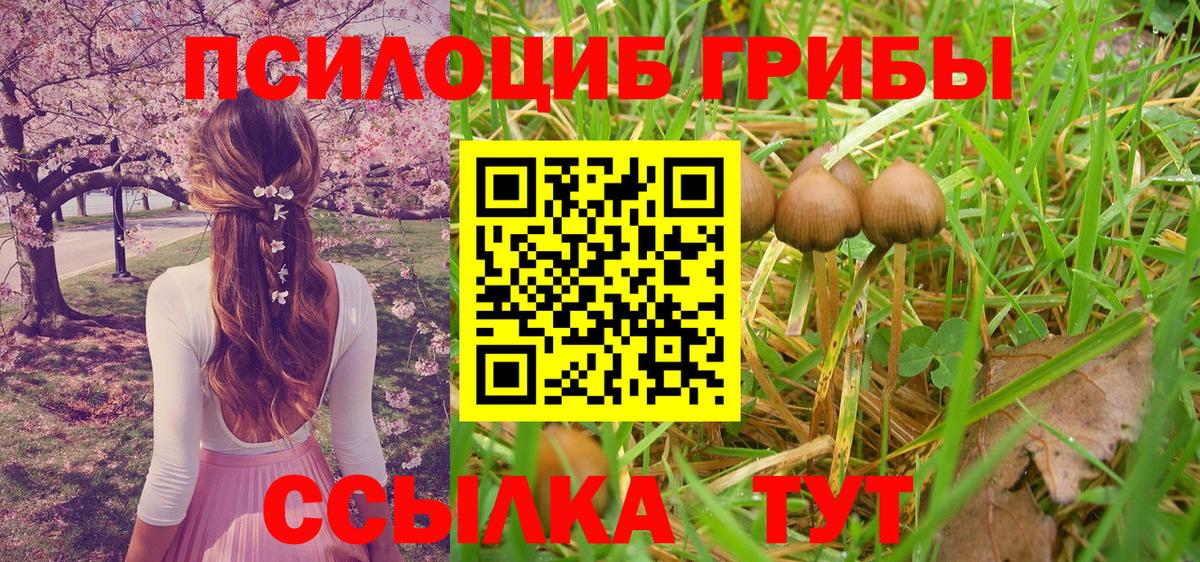 Псилоцибиновые грибы Magic Shrooms  Вход с VPN  Шали 
